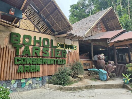 bohol-tarsier-conservation-area-4324