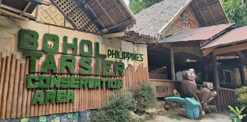 bohol-tarsier-conservation-area-4324