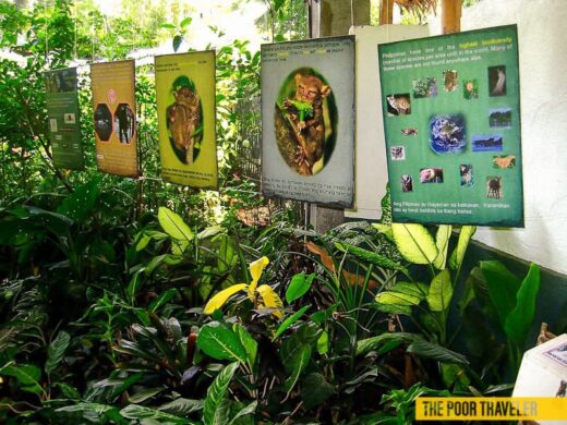 simply-butterfly-conservation-center-bohol-charts